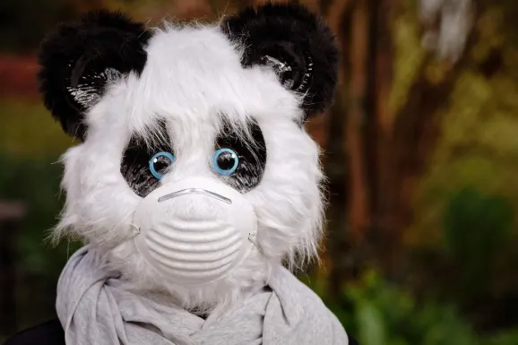 SlotsWin Casino Supporto